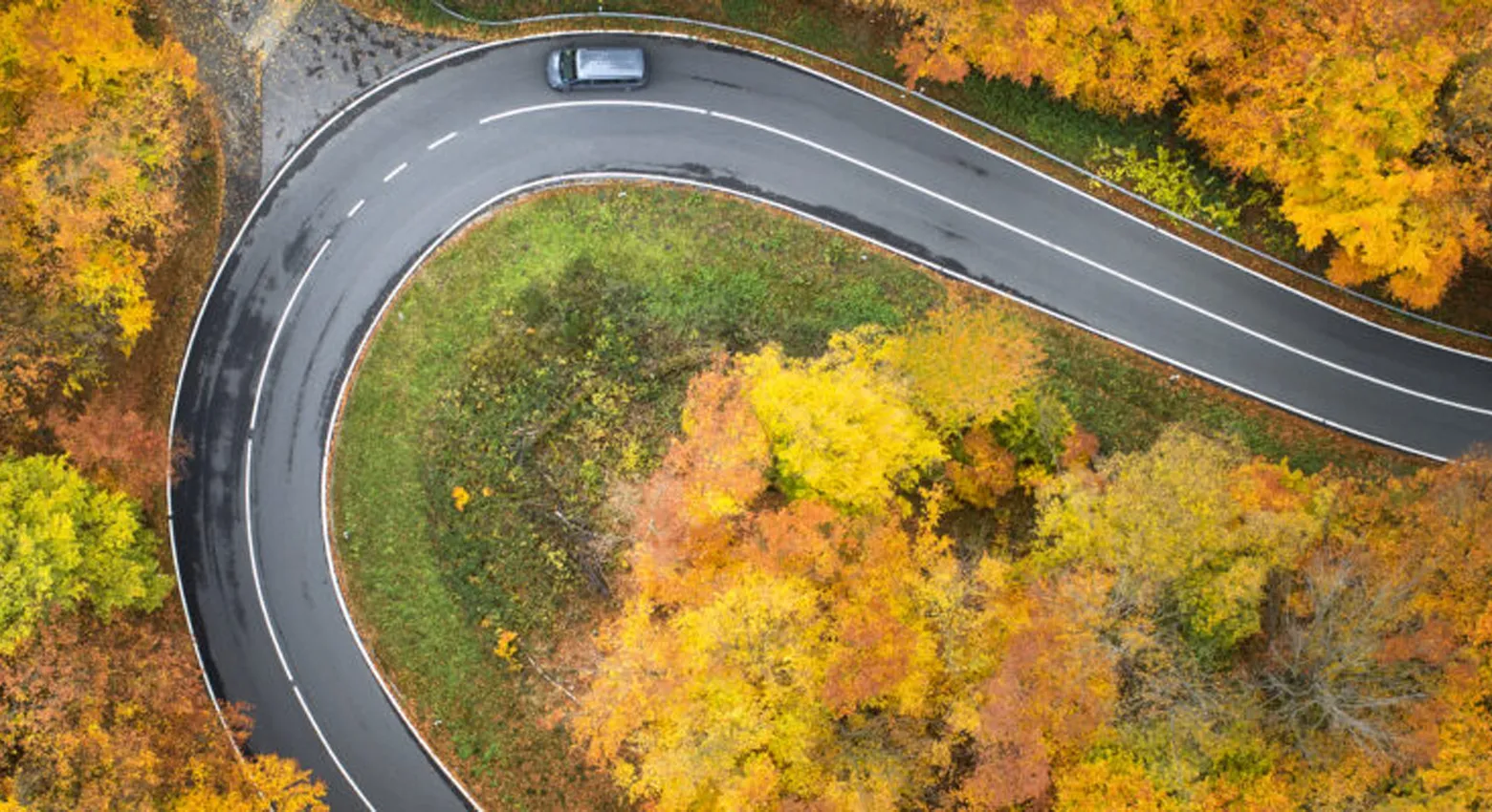 Winding road surrounded by trees