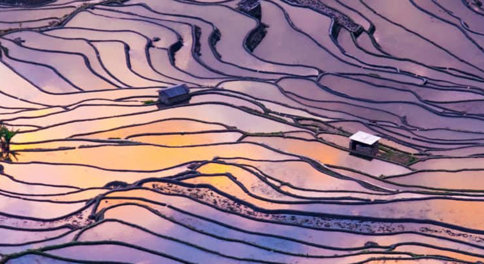 purple and orange landscape 