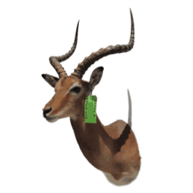 A high-level architectural view is below