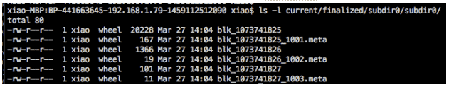 A sample of block files and their .meta files stored on a DataNode’s disk