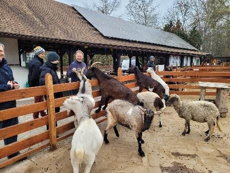 Volunteers feeding animals 