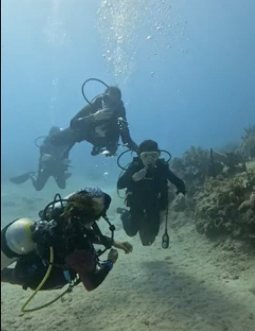 group of people scuba diving