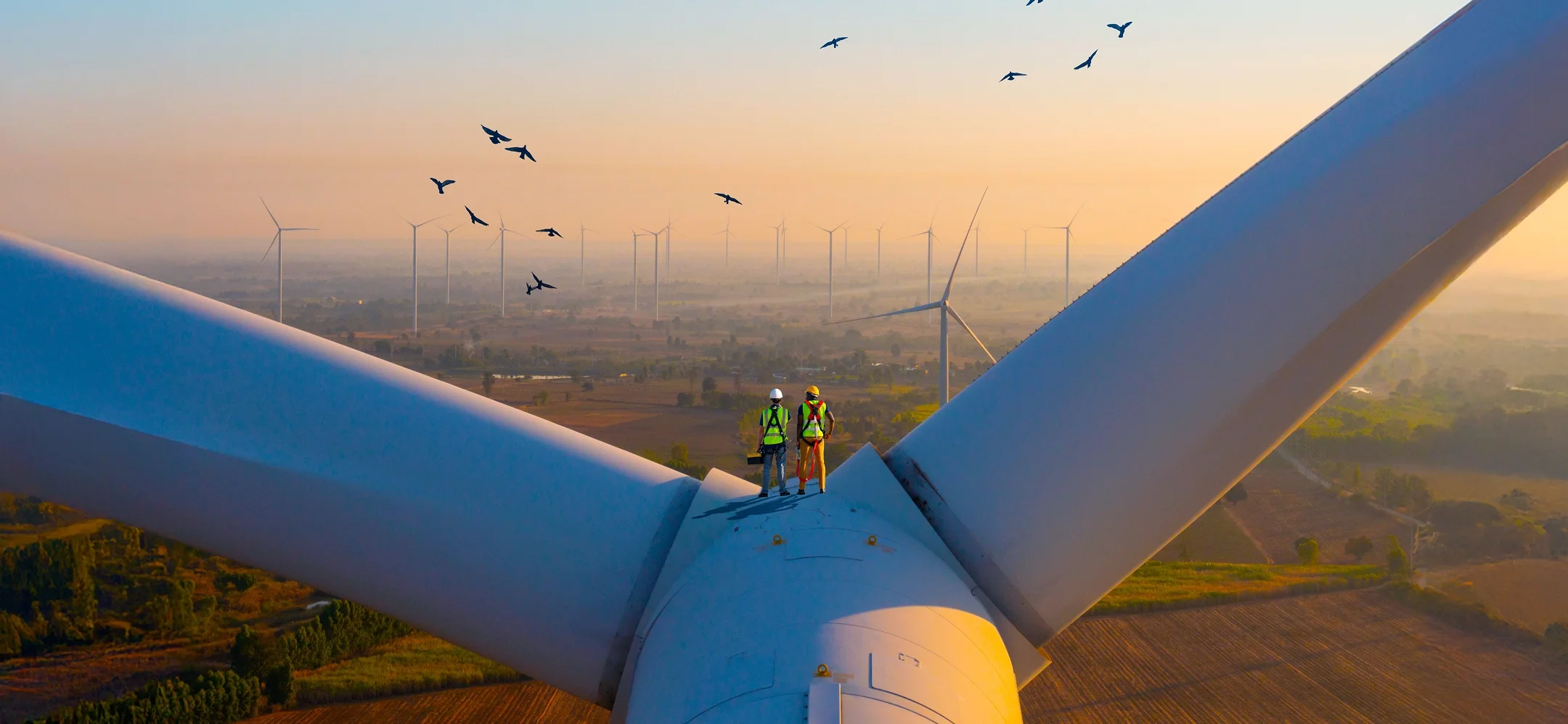 Workers on top of a wind turbine looking out.