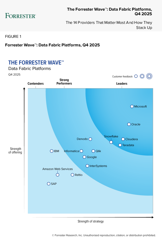 The Forrester Wave Data Fabric Platforms image