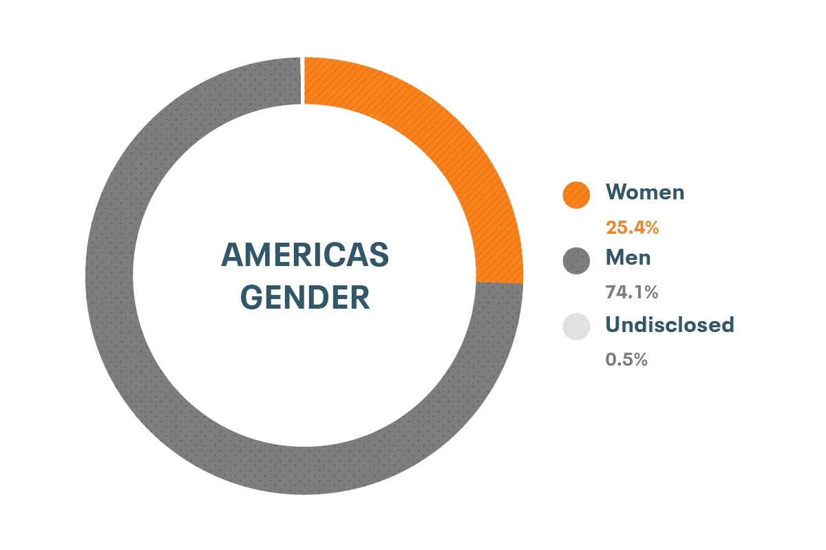 Cloudera Diversity and Inclusion data for Americas Gender: Women 24%, Men 76%