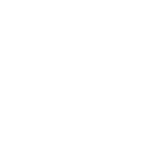 white data icon