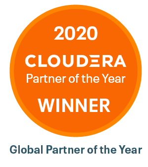 2020 partner of the year winner