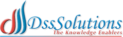 Dss Solutions logo