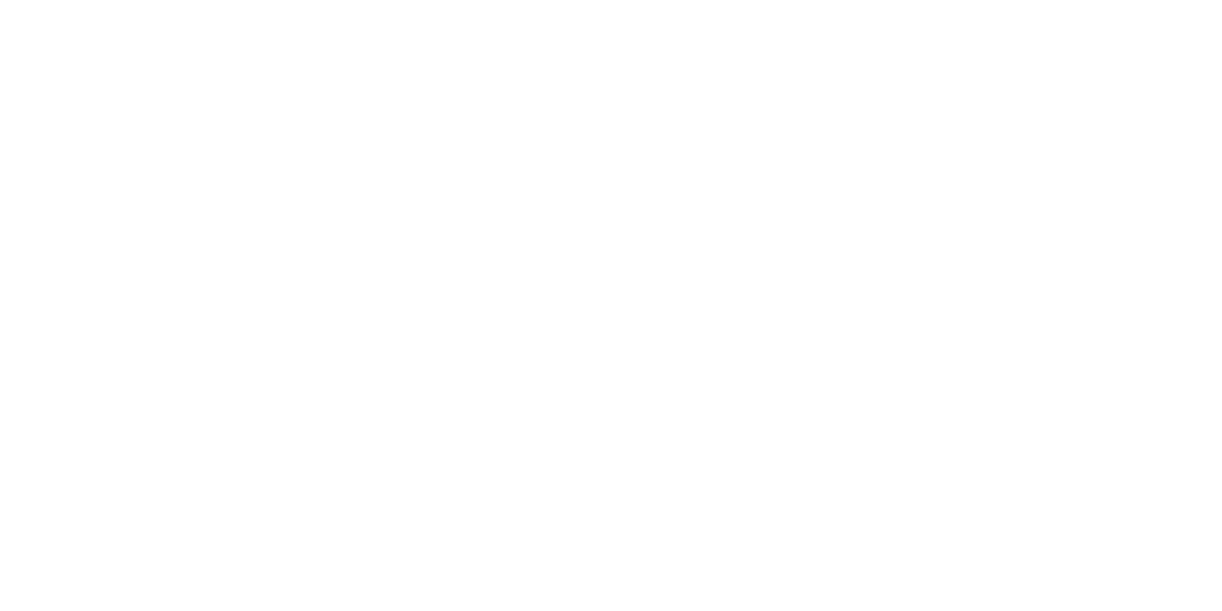 CIO logo CIO logo