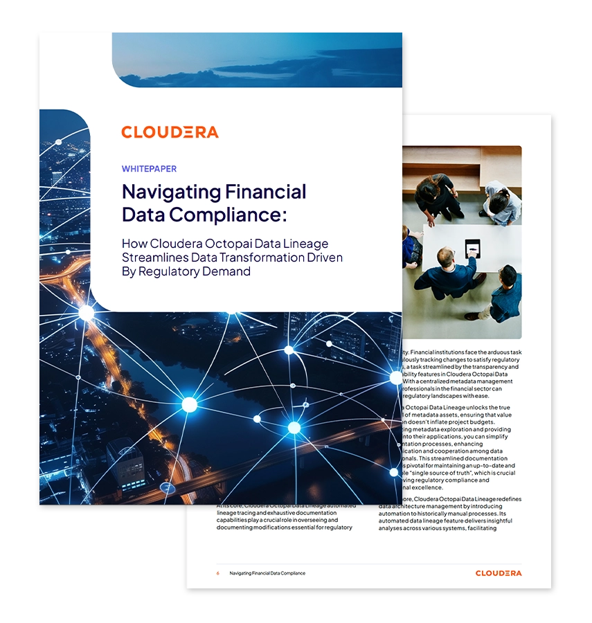 Navigating Financial Data Compliance thumbnail doc preview