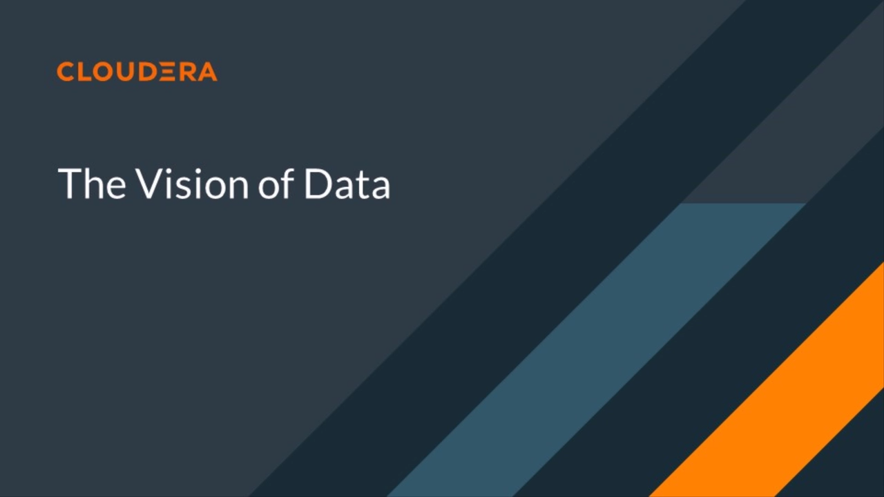 The vision of data