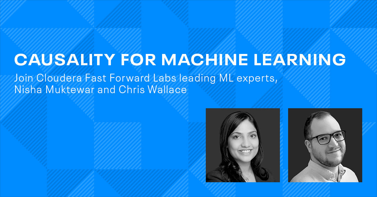 Causality for machine learning