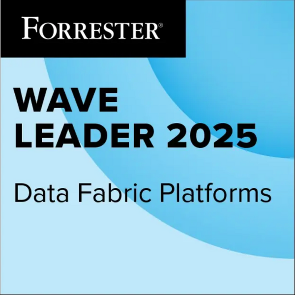 Forrester wave leader 2025 thumbnail