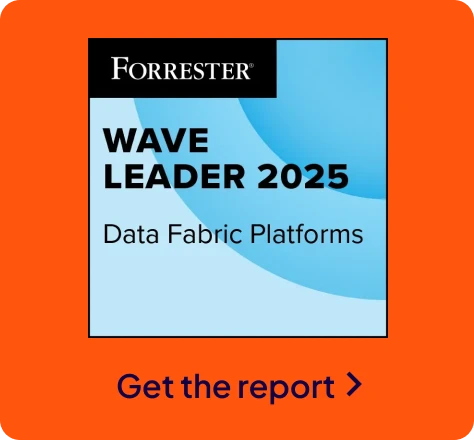 Wave Leader: The Forrester Wave™: Data Fabric Platforms, Q4 2025