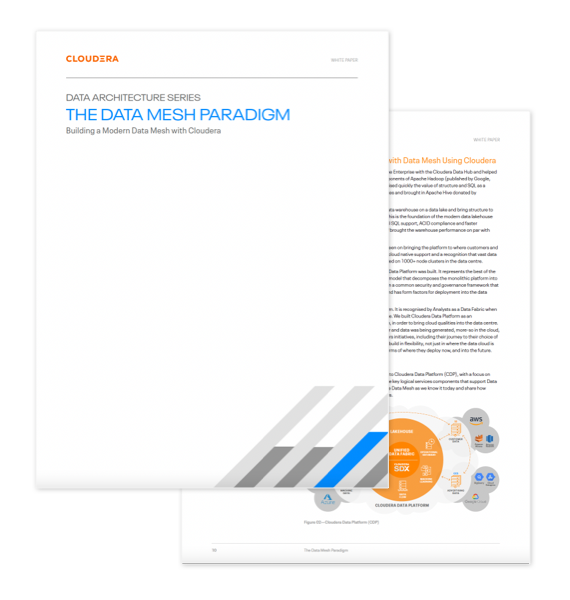 Data Architecture Series: The Data Mesh Paradigm