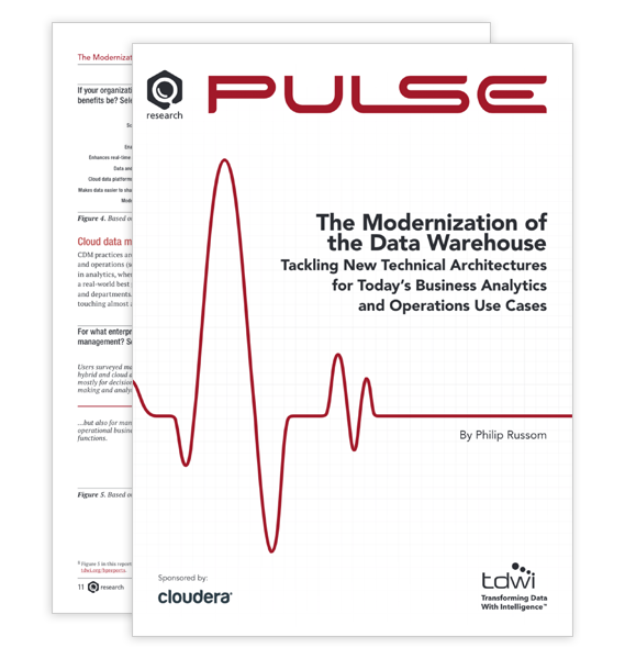 TDWI Insight Accelerator Report thumbnail
