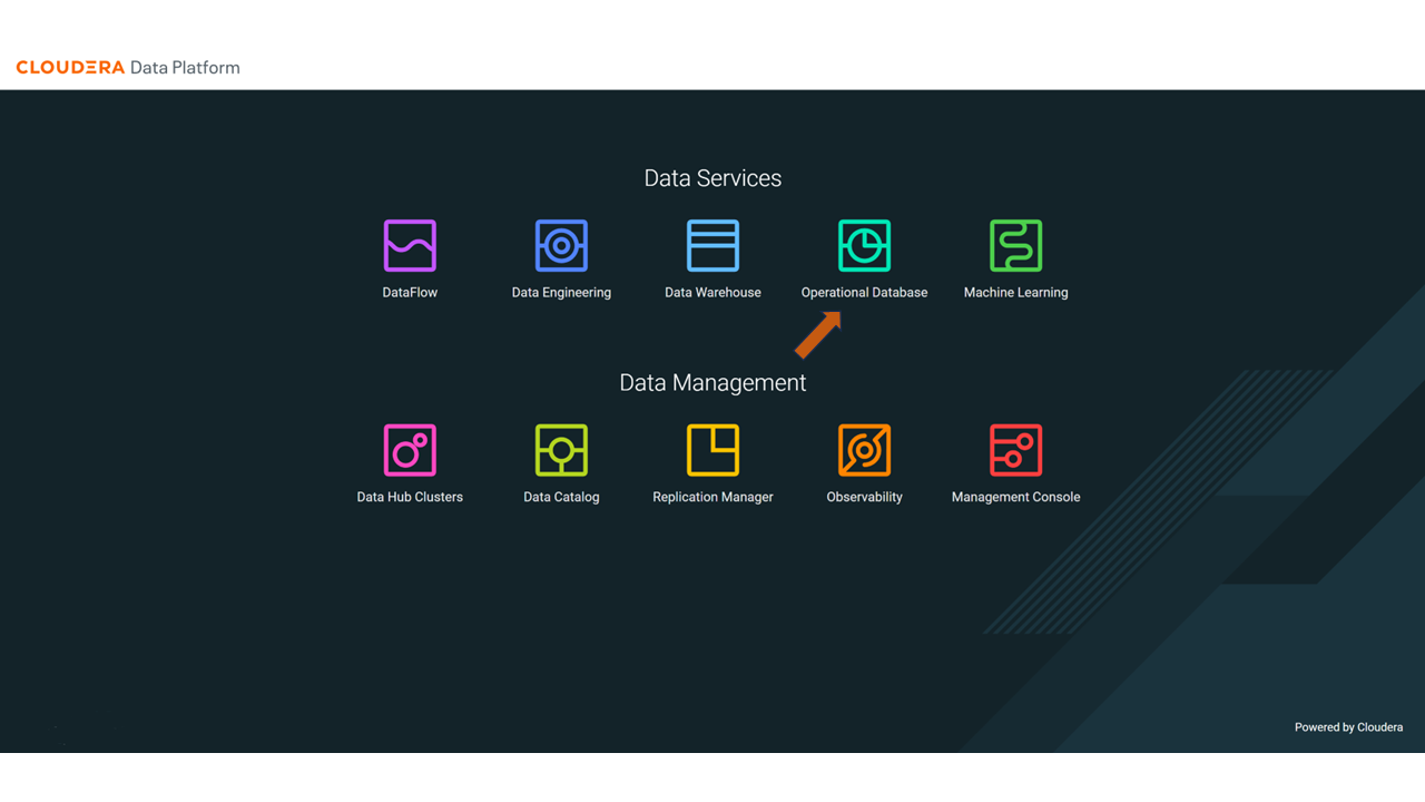 cdp-homepage-operational-database cdp-homepage-operational-database